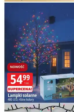 E.Leclerc Lampki solarne 480 led oferta