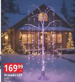 E.Leclerc Drzewko led 120 cm Jumi oferta