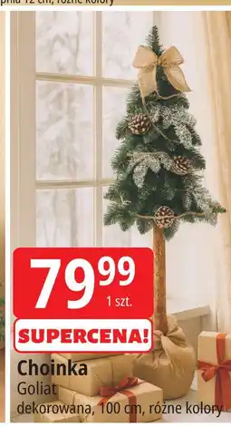 E.Leclerc Choinka na pniu 100 cm Goliat oferta