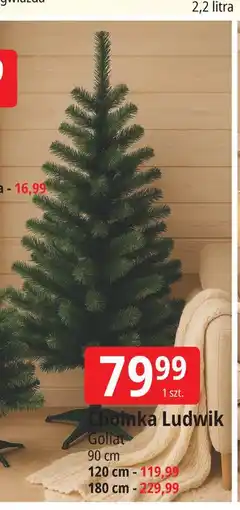 E.Leclerc Choinka ludwik 180 cm Goliat oferta