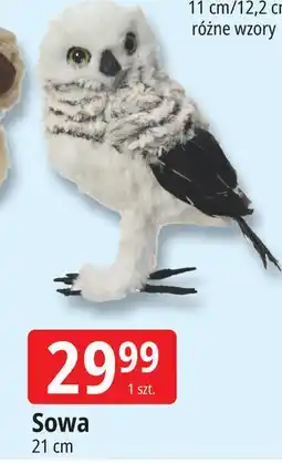 E.Leclerc Sowa wys. 21 cm oferta