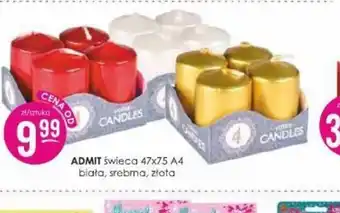 Jaśmin ADMIT Swieca oferta