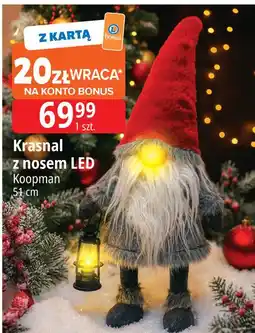 E.Leclerc Krasnal z nosem led 51 cm Koopman oferta