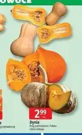 Dynia polska