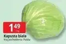 E.Leclerc Kapusta biała polska oferta