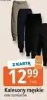 E.Leclerc Kalesony męskie oferta
