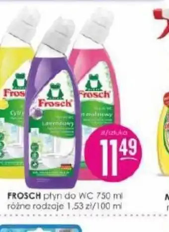 Jaśmin FROSCH płyn do WC oferta