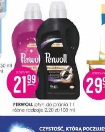 Jaśmin PERWOLL oferta