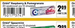 Eurocash Orbit® Raspberry & Pomegranate oferta