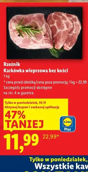 Lidl Rzeźnik Karkówka wieprzowa bez kości oferta
