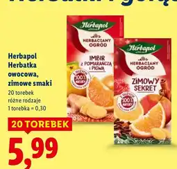 Lidl Herbata Herbapol owocowa, zimowe smaki oferta