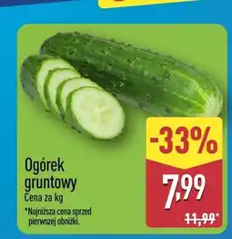 ALDI Ogórek gruntowy Aldi oferta
