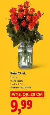Lidl Róże, 13 szt oferta