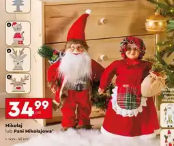 Biedronka Mikołaj lub Pani Mikołajowa oferta