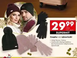 Biedronka Czapka lub rękawiczki oferta