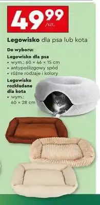 Biedronka Legowisko dla psa lub kota oferta