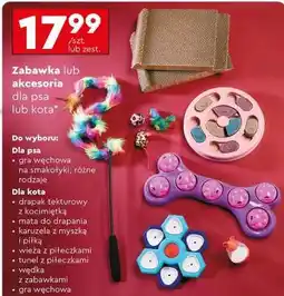 Biedronka Zabawka lub akcesoria dla psa lub kota oferta