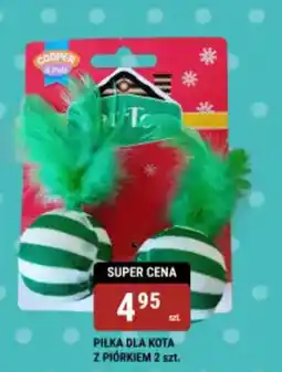 bi1 Pilka dla kota z piórkiem oferta