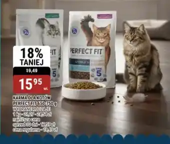 bi1 Karma dla kotów perfect fit oferta