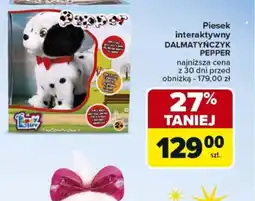 Carrefour Market Piesek oferta