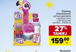 Carrefour Market Flaming interaktywny oferta