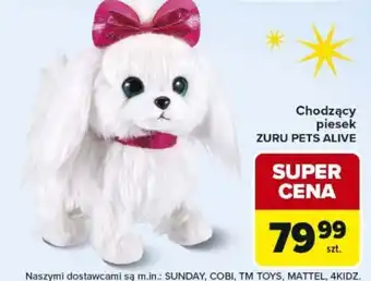 Carrefour Market Chodzący piesek oferta