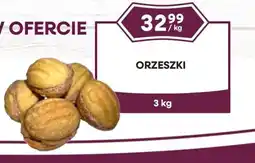Dantex Orzeszki oferta