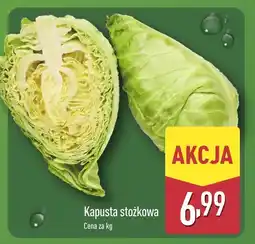 ALDI Kapusta stożkowa Aldi oferta