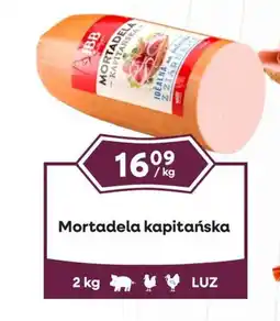 Dantex Mortadela kapitańska oferta