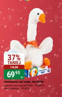 bi1 ZWARIOWANA GES oferta