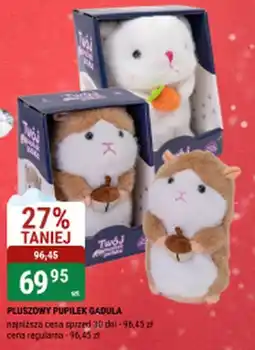 bi1 PLUSZOWY PUPILEK GADULA oferta