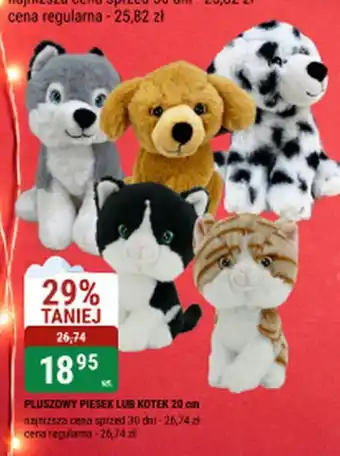 bi1 Pluszowy piesek lub kotek oferta