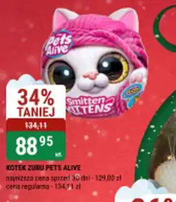 bi1 KOTEK ZURU PETS ALIVE oferta
