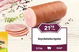 Dantex Szynkówka łącka oferta