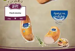 Dantex Filecik złocisty oferta