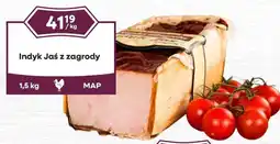 Dantex Indyk Jaś z zagrody oferta
