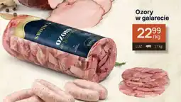 Dantex Ozory w galarecie oferta