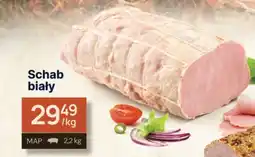 Dantex Schab biały oferta