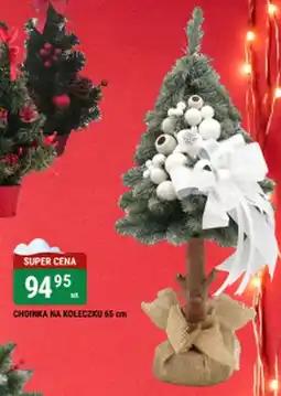 bi1 Choinka oferta