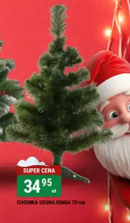 bi1 CHOINKA SOSNA KINGA oferta