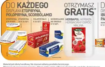 Eurocash Herbapol Herbata oferta