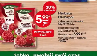 Żabka Herbata Herbapol oferta