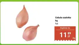 Biedronka Cebula szalotka luz Biedronka oferta
