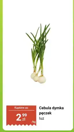 Biedronka Cebula dymka pęczek Biedronka oferta