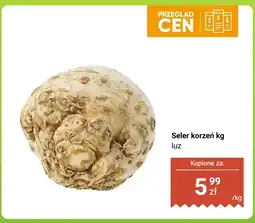 Biedronka Seler korzeń luz Biedronka oferta