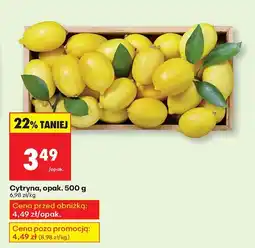 Biedronka Cytryna opak. 500 g Biedronka oferta