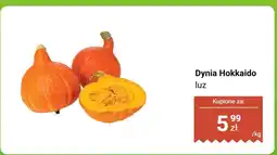 Biedronka Dynia Hokkaido luz Biedronka oferta
