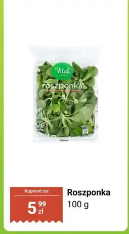 Biedronka Roszponka 100 g Vital Fresh oferta