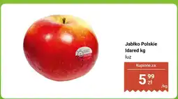 Biedronka Jabłko Polskie Idared luz Biedronka oferta