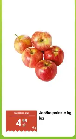 Biedronka Jabłko polskie luz Biedronka oferta